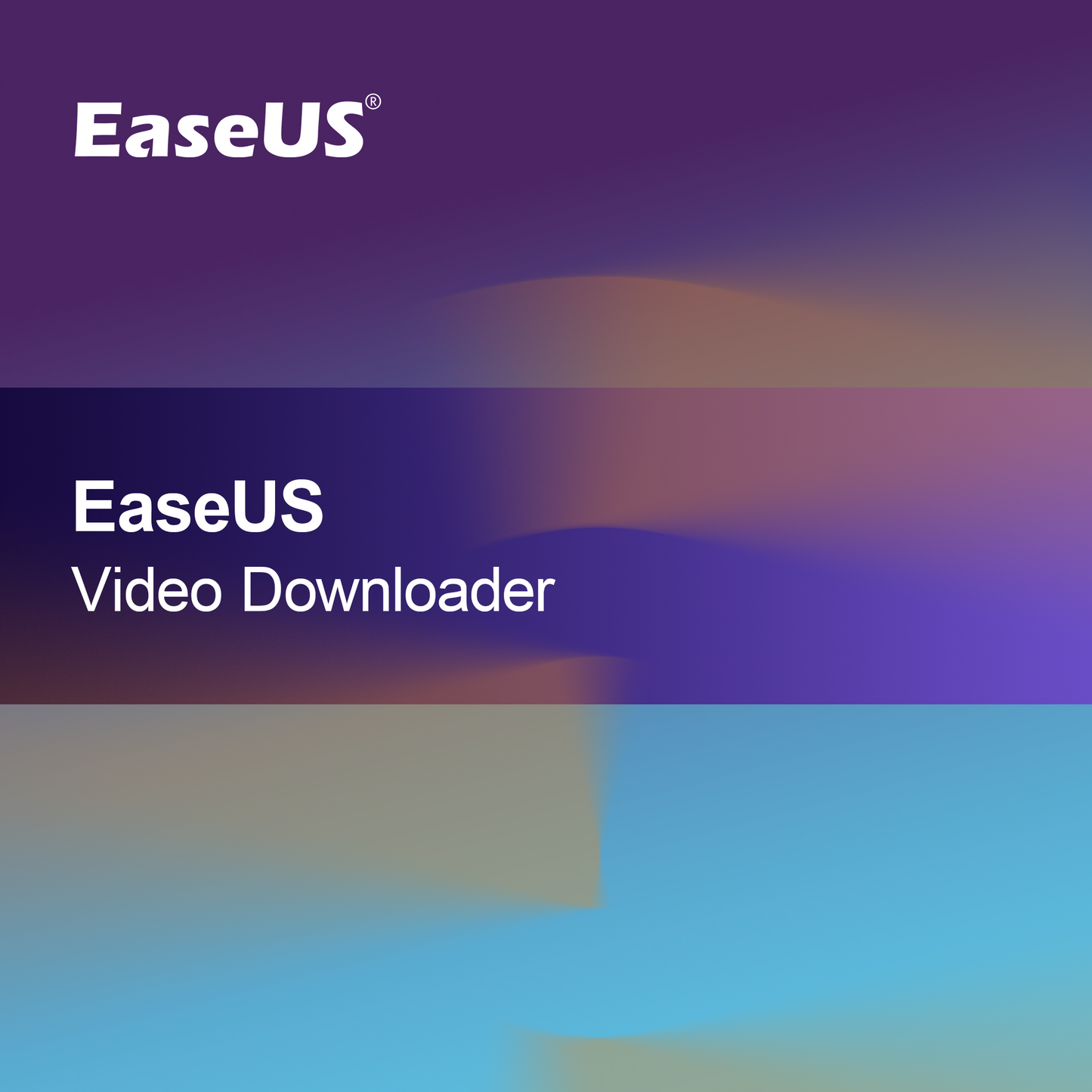 EaseUS videonedladdare