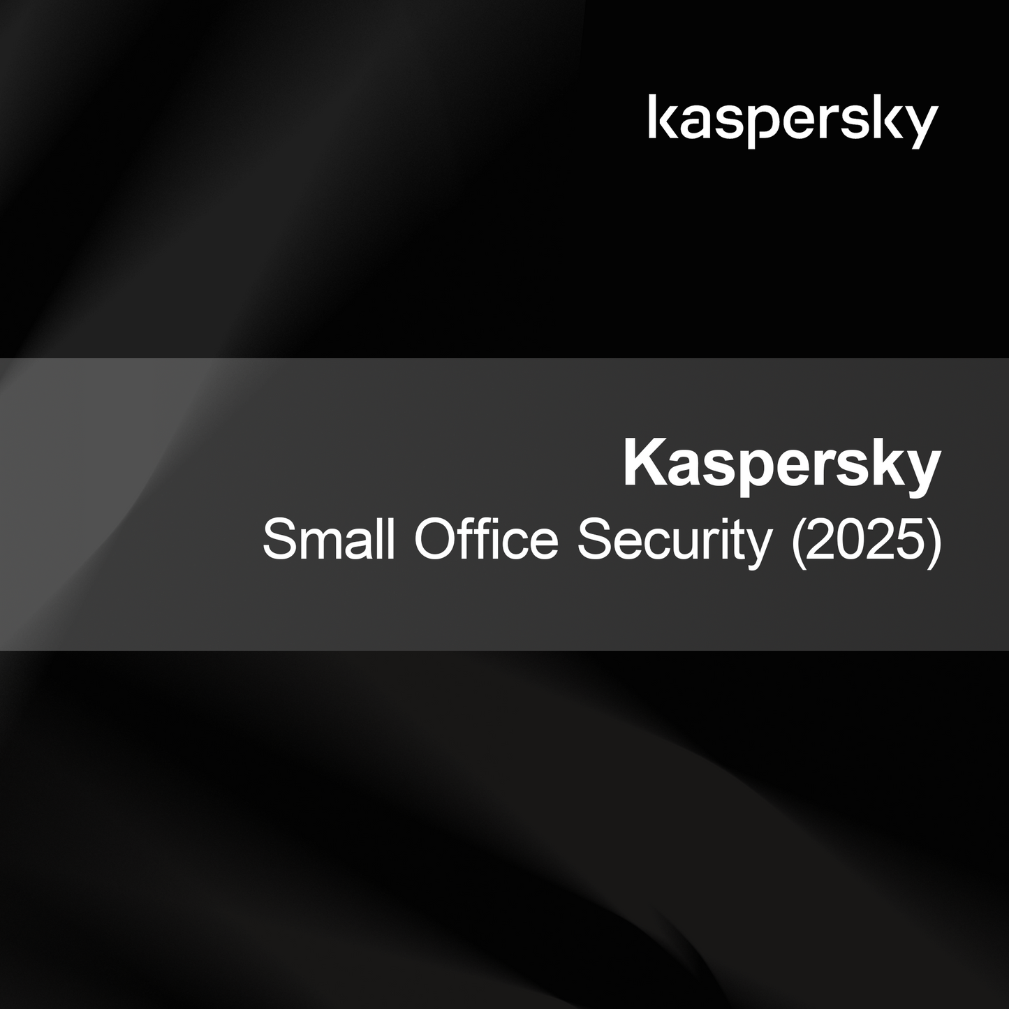 Kaspersky Liten Kontorssäkerhet (2025)