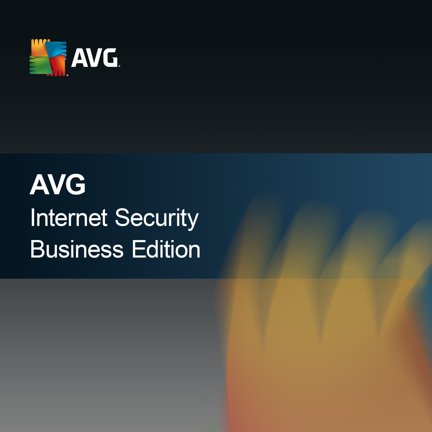 AVG Internetbeveiliging Zakelijke Editie